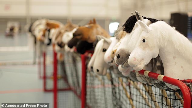 Dozens of hobby horses are lined up ready to be ridden during a Hobby Horse championship in Finland (file photo from 2019)