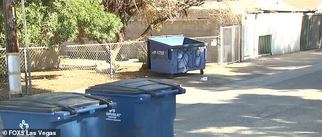 In the photo: The garbage containers where the child's lifeless body was found.