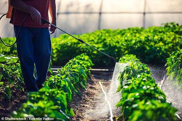 Pesticide use is one of five factors likely contributing to the rise in cancer cases in Iowa, officials say.