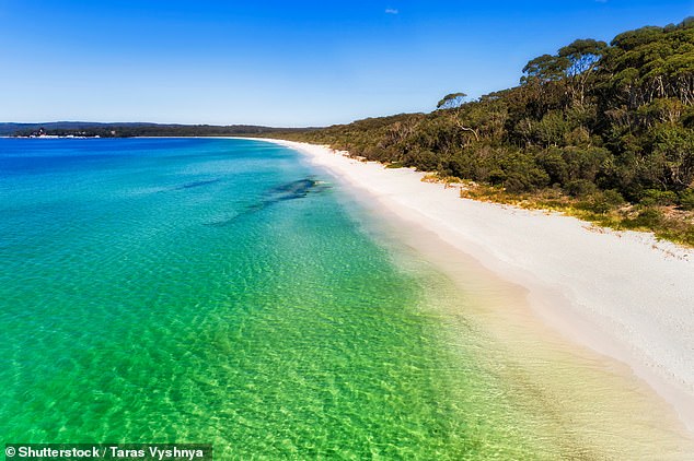 They were also found in other parts of New South Wales including Newcastle, Bathurst, Wagga Wagga and Jervis Bay (pictured), the latter last October.