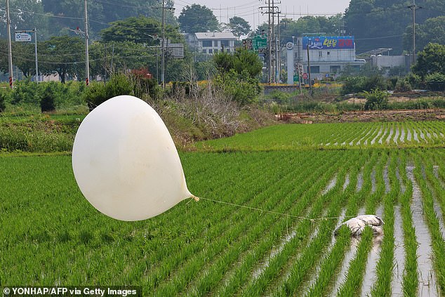 A balloon is seen attached to an object (R) after it landed on a rice field in Seonwon-myeon, Ganghwa county, Incheon city, June 10, 2024.