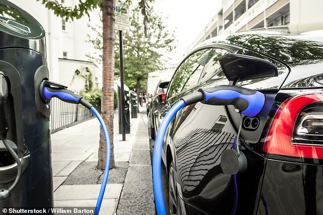 Vauxhall's FOI found that only 2.3% of UK on-road chargers meet the needs of disabled drivers.