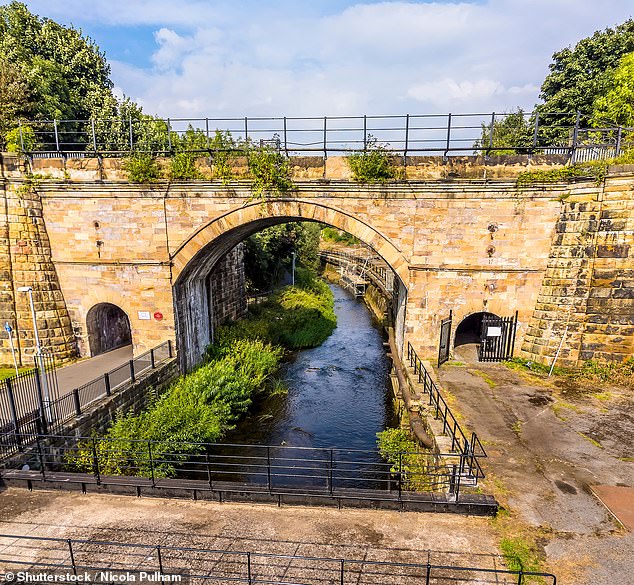 Full steam ahead: Skerne Bridge helped usher in the modern railway in 1825