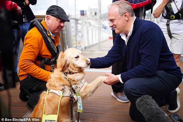 Davey pets Jenny, the Torbay parliamentary candidate's guide dog, during the campaign