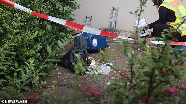 Images from the scene show the cat carrier lying between a bike rack and overturned garbage bags, which witnesses say were thrown out of a third-floor window along with a phone and bottles before the girl was found.