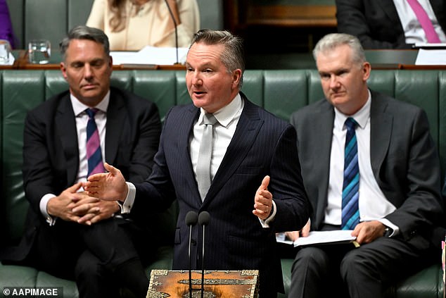 Bowen, Minister for Energy and Climate Change, pictured during Question Time in May