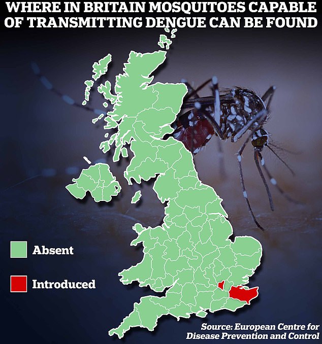 This map shows areas where mosquitoes capable of transmitting dengue have been introduced into Britain. These populations have not yet established a permanent presence in the UK, but experts have warned that climate change means their spread is inevitable.