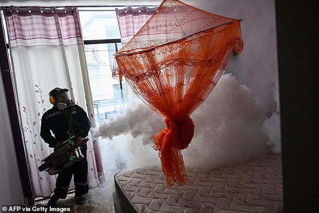 Dengue is a mosquito-borne viral infection that has historically been limited to tropical or subtropical climates. It is estimated to infect about 400 million people a year. Pictured: A house in Peru being fumigated against mosquitoes to prevent the spread of the disease.