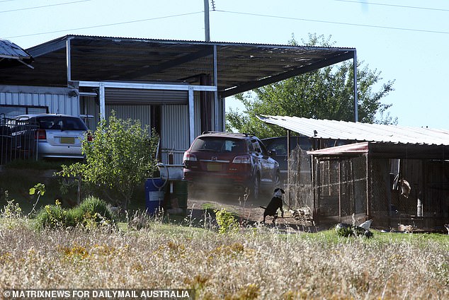 Raad lives in a family compound (pictured) outside Young, in the Riverina region of New South Wales.