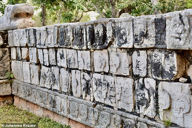 Portion of reconstructed stone tzompantli, or skull rack, at Chichén Itzá. These are carvings on the walls; there are no skulls inside the stone