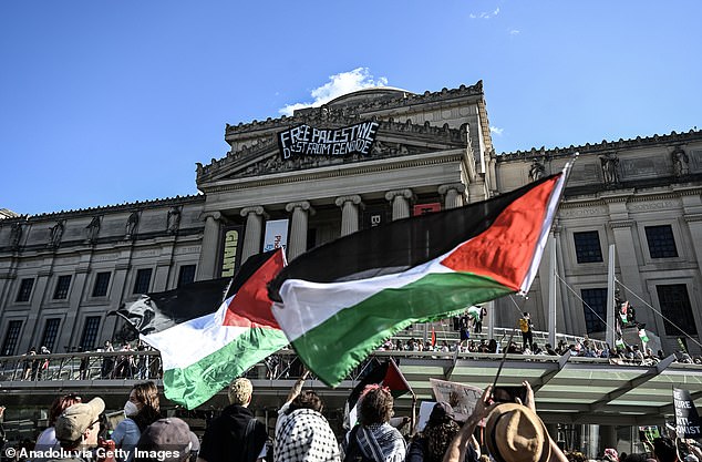 On May 31, pro-Palestinian protesters took over parts of the Brooklyn Museum, hanging a banner over the main entrance, occupying much of the lobby, and clashing with police.