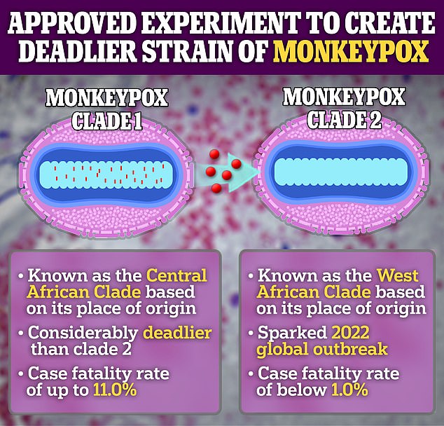 In October 2022, Dr. Bernard Moss revealed that a team of scientists wanted to equip the Clade II Mpox with genes from the most dangerous Clade I strain.