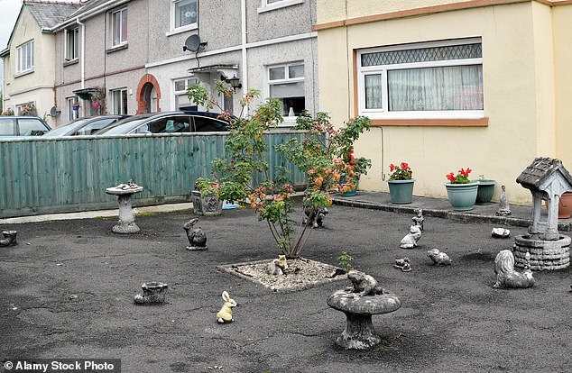 1718229126 986 The 11 things that make your garden look tacky revealed