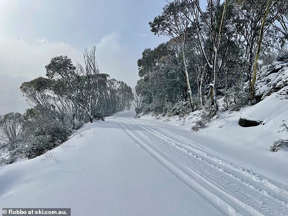 Snow at Perisher ski resort