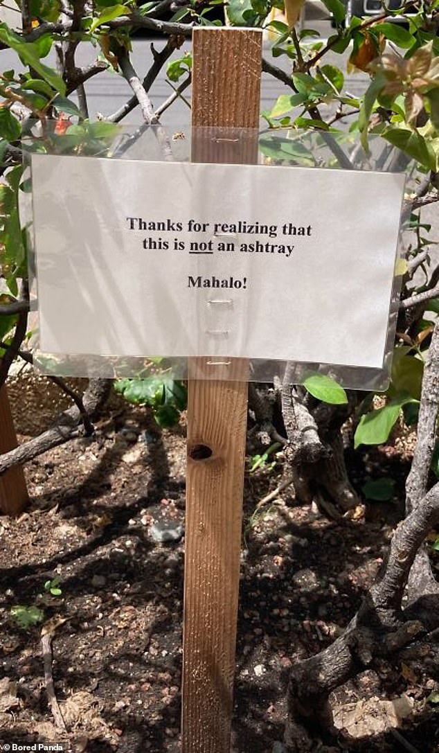 The author of this sign, believed to have been spotted in Hawaii, used classic sarcasm and suggested that several people have, in fact, used this potted plant as an ashtray.