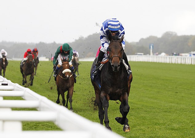 Big Rock has fond memories of Ascot after winning the Queen Elizabeth II Stakes last October.