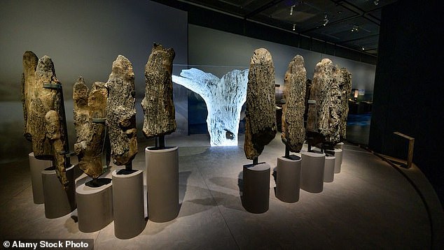 The timber circle known as Seahenge consists of 55 split oak logs arranged in a 7.5 meter (25 ft) wide oval surrounding a 