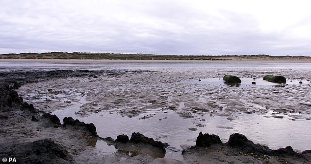 The construction of Seahenge aligns with the sun on the summer solstice, suggesting it may have served a ritual purpose.