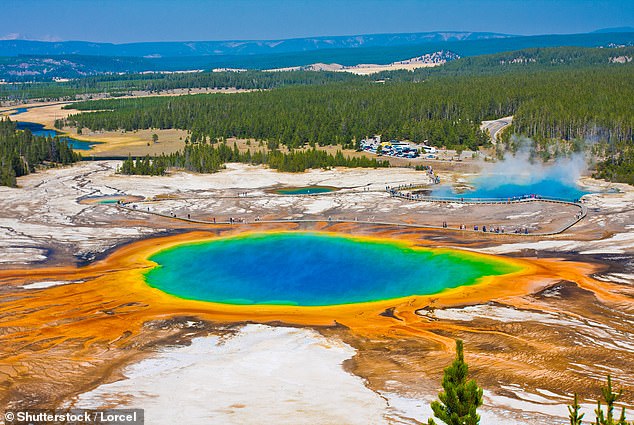 The birth of the sacred calf comes after a harsh winter in 2023 drove thousands of Yellowstone buffalo, also known as bison, to lower elevations.