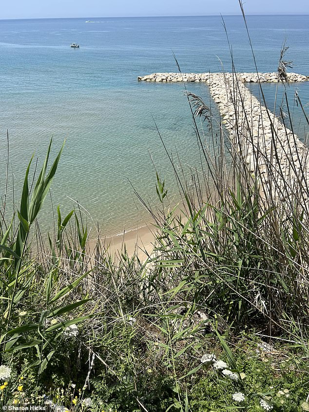 He jumped over a fence to take what he thought was a shortcut to the sand, but realized too late that the fence protected this cliff and fell off the edge.