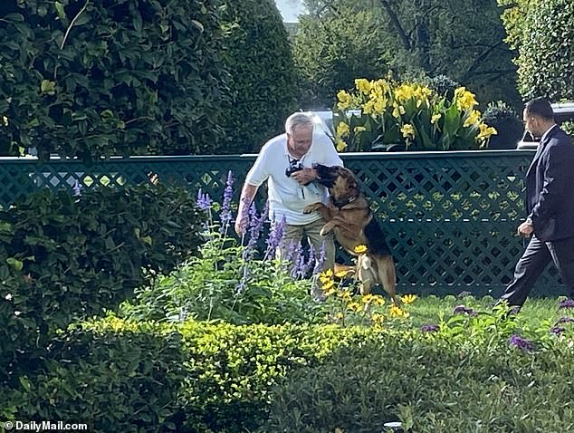 A photo obtained exclusively by DailyMail.com shows the Commander biting another White House staffer last year.