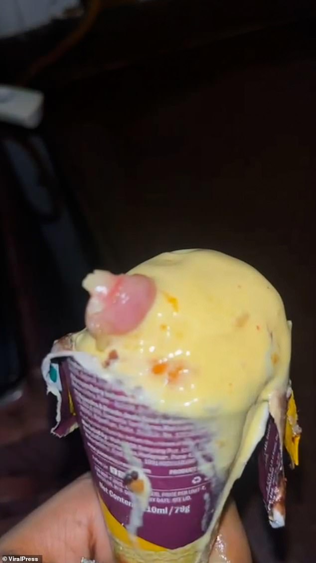 Orlem Brandon Serrao's sister ordered three Yummo ice cream cones and had the desserts delivered to her home in Malad, Mumbai on June 13. She was surprised to find a strange object sticking out of the ice cream (pictured).