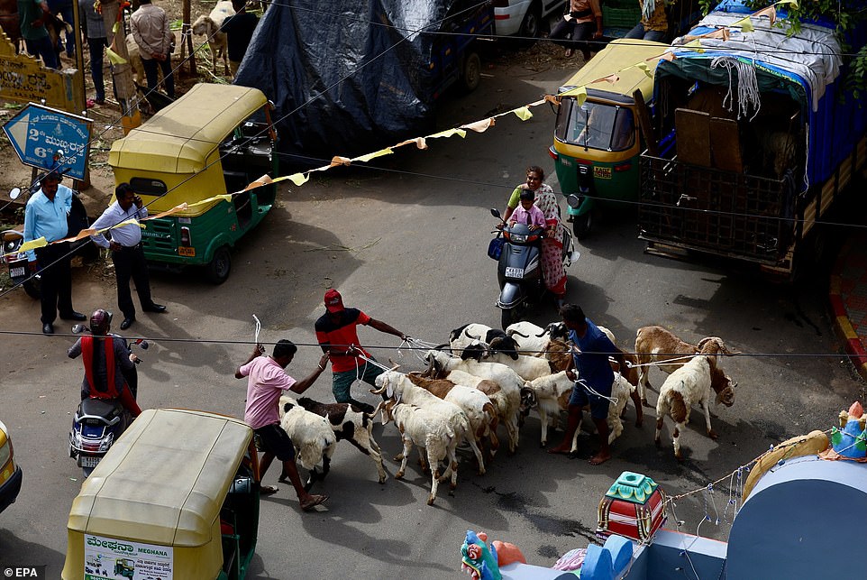 A general view of a cattle market before Eid al-Adha in Bangalore, India