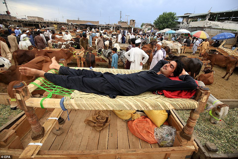 A vendor rests at a slaughtered animal market ahead of Eid Al-Adha, in Peshawar, Pakistan, on Wednesday.