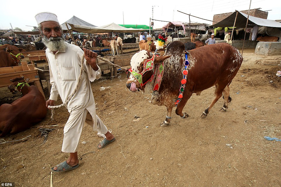 A man holds a slaughtered animal for sale at a local livestock market ahead of the Muslim festival Eid Al-Adha, celebrated each year to mark the Hajj.