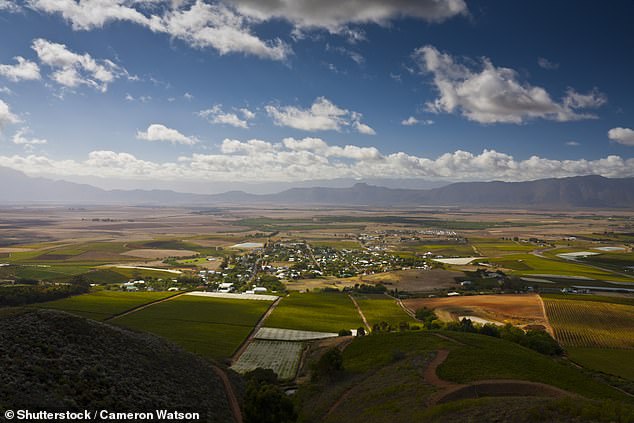 Simply divine – the city is located deep in wine country, 50 miles northeast of Cape Town.