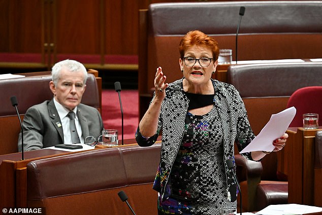 One Nation Senator Pauline Hanson is pictured during question time in the Senate chamber at Parliament in Canberra, Wednesday, November 8, 2023.