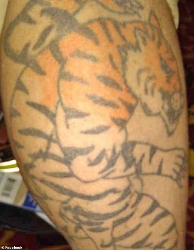 This tiger tattoo seems to have been left incomplete with only half of the drawing filled with color.