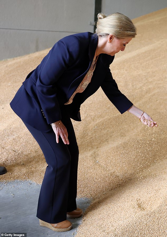 The Duchess knelt as she fingered grains at Highfield Farm in Bedford, which supplies breakfast cereal brand Jordans.