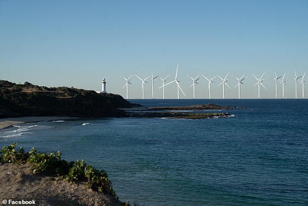 The proposed project has caused widespread controversy in the Illawarra region, with protests against it from both those opposed to renewable energy and those with environmental concerns (pictured, artist's impression of the proposed project).