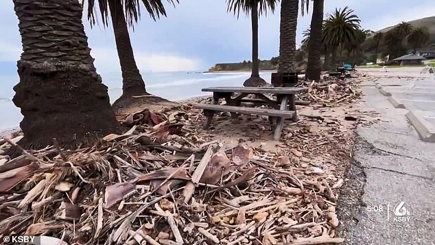 Trees were downed and debris scattered on the beach by the weather front