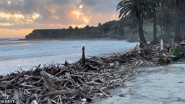 The 'total failure' of the beach drainage system occurred after extensive storm damage