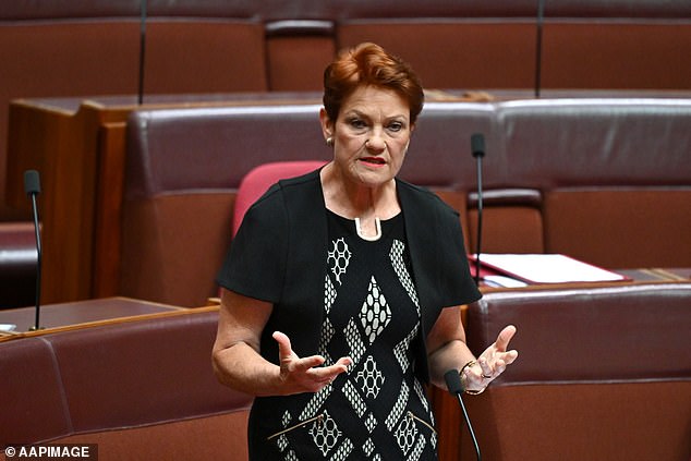 Ms Hanson's party chief of staff (pictured), James Ashby, told Daily Mail Australia they would oppose the move and would not remove the cartoon.