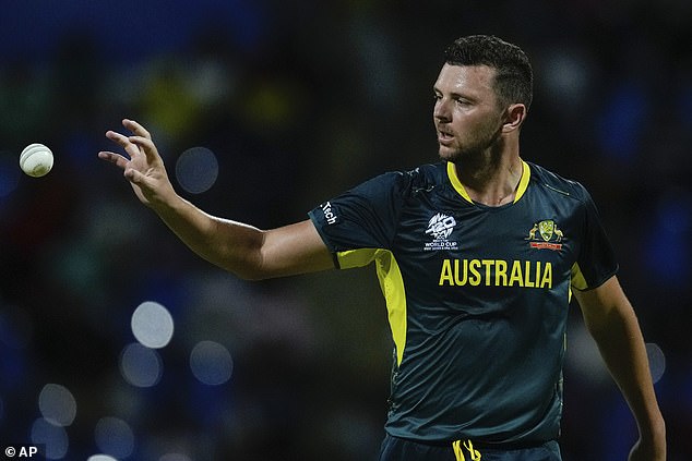 The Australians are unbeaten in Group B and appear to have a sinister touch from the start (pictured, pacer Josh Hazlewood)