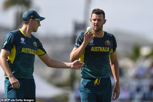 Josh Hazlewood (right) had suggested his team could try to score slowly to ensure England were eliminated.