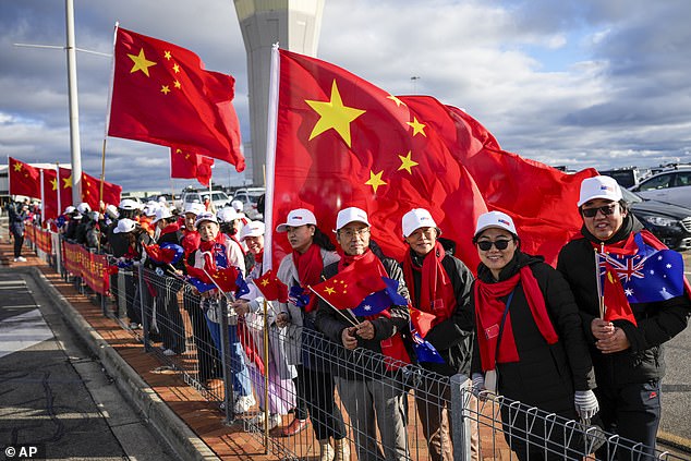 A crowd of supporters brandishing Australian and Chinese flags gathered at the airport.