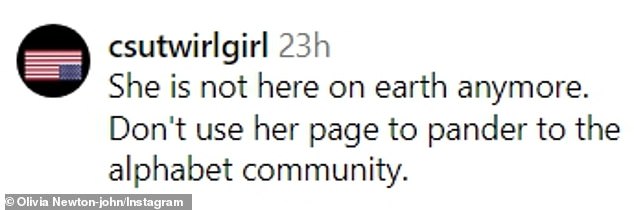 The light-hearted post ignited vitriol in the comments section, with someone else writing: 'She is no longer here on earth. Don't use her page to please the alphabet community.