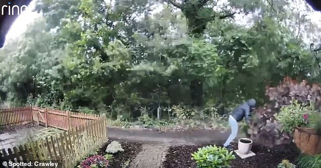 The man grabs the leaves and pulls the plant out of its pot.