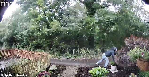 Doorbell footage captured the man removing the plant from a property in Crawley.