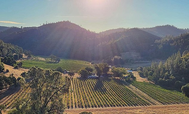 Fed up with the rowdy bar scene and partygoers drinking gallons of wine, locals complained to the newspaper that their picturesque paradise was turned upside down.