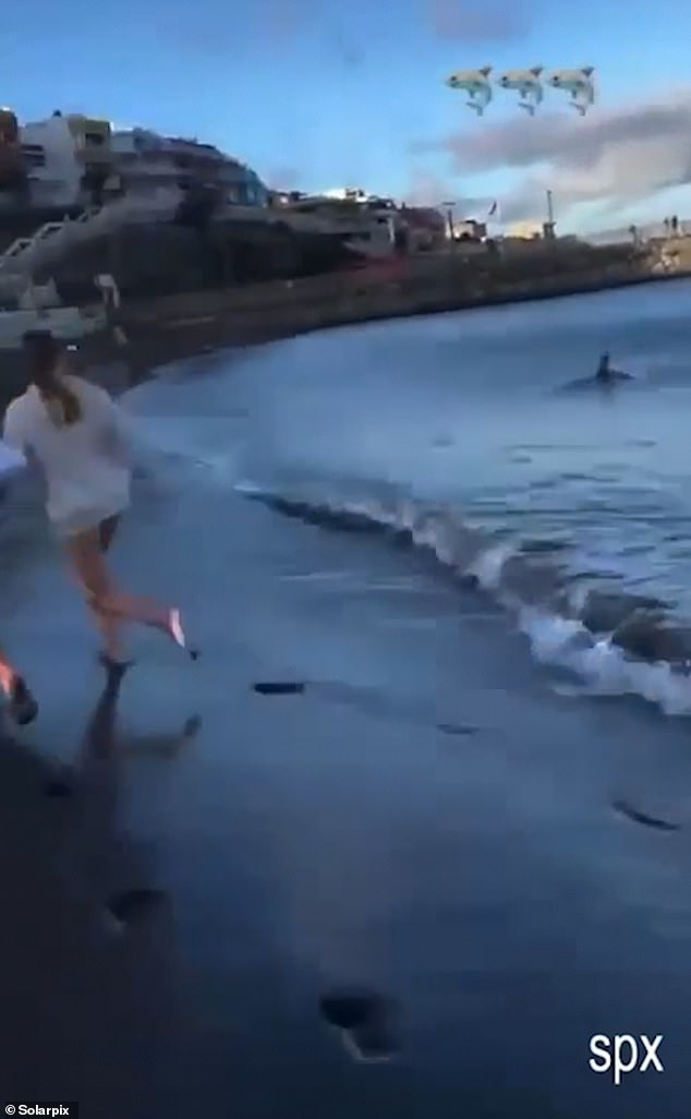 Young people were seen running to safety when the shark approached around 5pm yesterday.