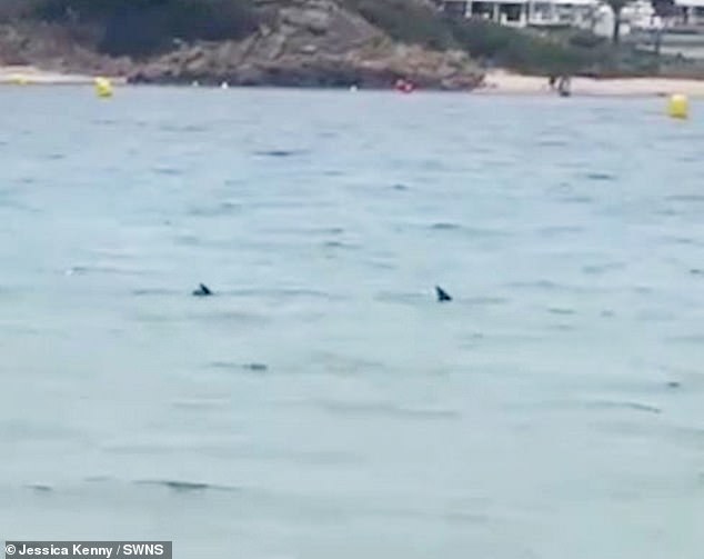 Passersby began shouting and calling for the lifeguard, who called for backup and turned off the red flags.