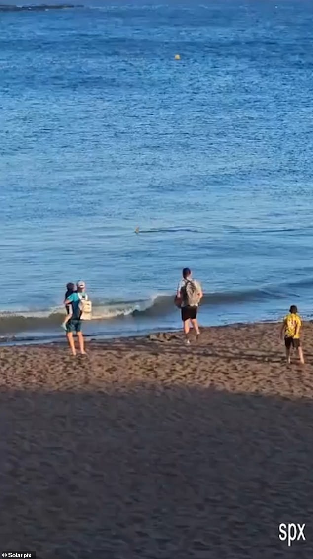 The sighting was the latest in a series of shark sightings off Spain's tourist coasts.