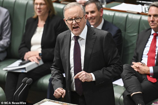 Anthony Albanese (pictured) faces increasing pressure ahead of the 2015 federal election