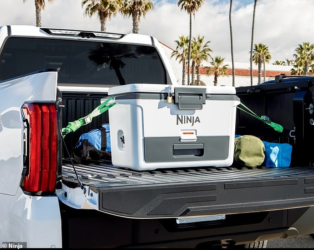 The team at Ninja spent about a year trying to solve the soggy sandwich dilemma and got to work creating the perfect picnic cooler.