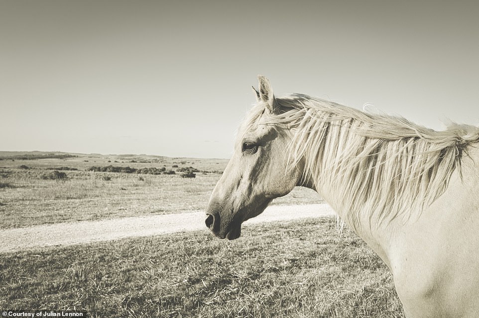 The avid photographer selected 200 images from over a decade of travel to share with his fans. Above, a photograph titled 'Wadee' captures a 'majestic' horse that Lennon met on his trips to Uruguay for the first time this year.